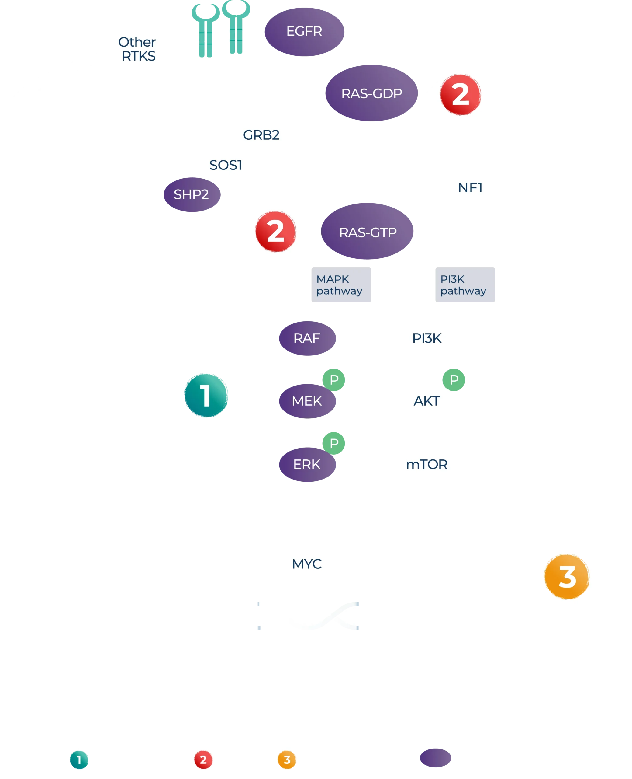 Strategic Scheme